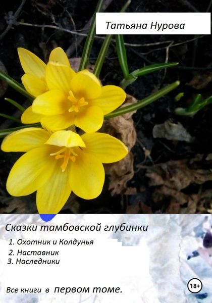 Обложка книги  «Сказки тамбовской глубинки. Том первый»