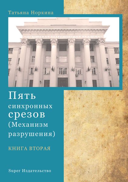 Обложка книги «Пять синхронных срезов (механизм разрушения). Книга вторая»