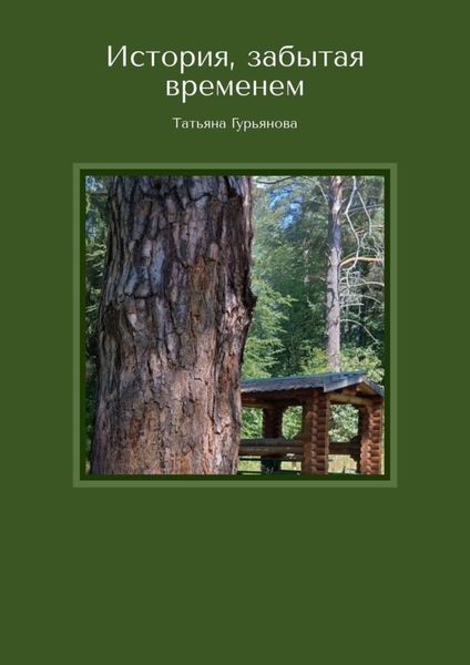 Обложка книги  «История, забытая временем»