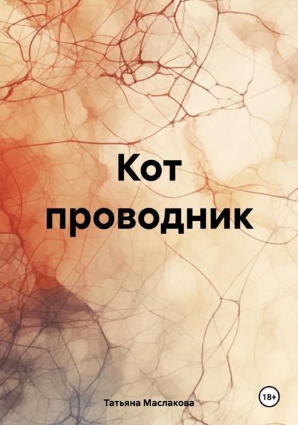 Обложка книги «Кот проводник»