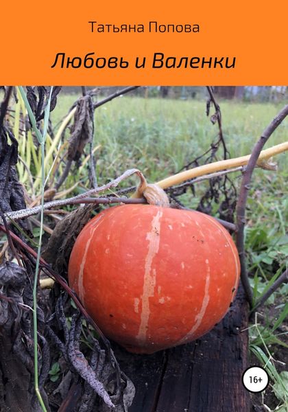 Обложка книги  «Любовь и Валенки»