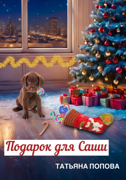 Обложка книги  «Подарок для Саши»