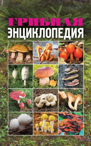 Обложка книги «Грибная энциклопедия»