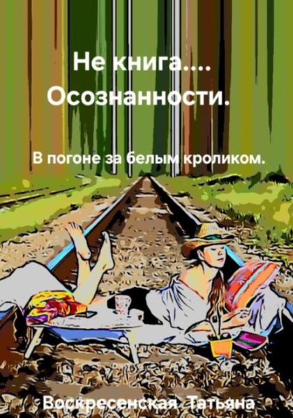 Обложка книги «Не книга… осознанности»