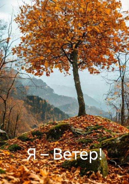 Обложка книги  «Я – Ветер!»