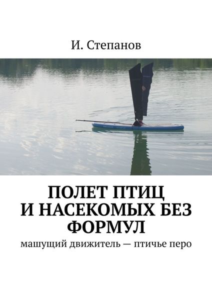 Обложка книги  «Полет птиц и насекомых без формул. Машущий движитель – птичье перо»