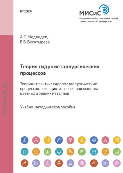 Обложка книги  «Теория гидрометаллургических процессов. Теория и практика гидрометаллургических процессов, лежащих в основе производства цветных и редких металлов»