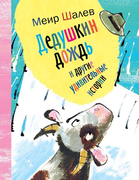 Обложка книги  «Дедушкин дождь и другие удивительные истории»