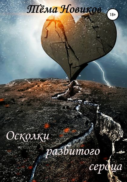 Обложка книги  «Осколки разбитого сердца»