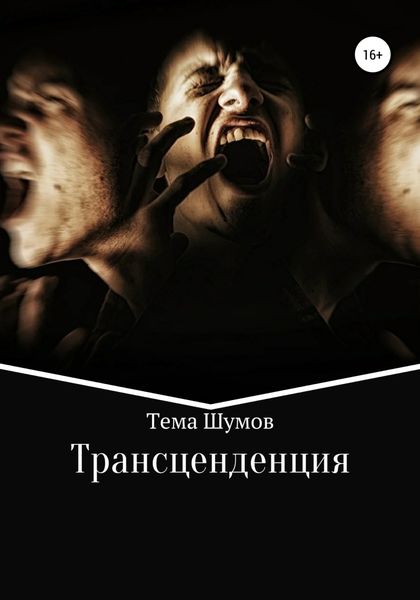 Обложка книги «Трансценденция»