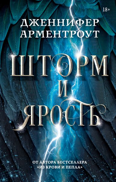 Обложка книги  «Шторм и ярость»