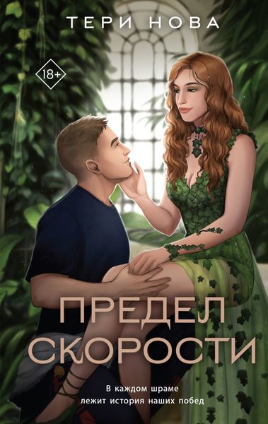 Обложка книги  «Предел скорости»