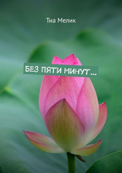 Обложка книги  «Без пяти минут…»