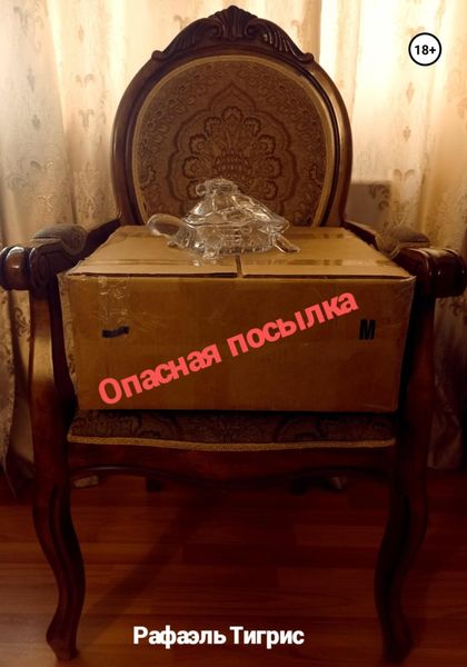 Обложка книги «Опасная посылка»