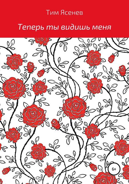 Обложка книги  «Теперь ты видишь меня»