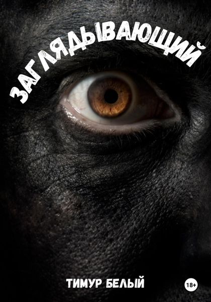 Обложка книги  «Заглядывающий»