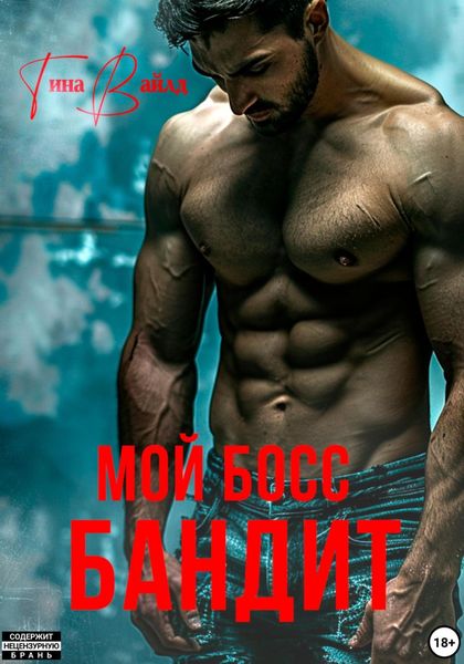 Обложка книги  «Мой босс – бандит»