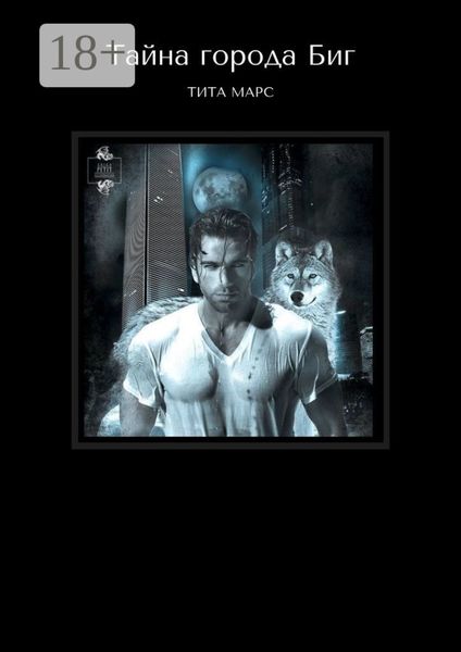 Обложка книги  «Тайна города Биг»