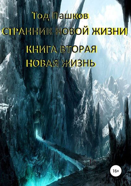 Обложка книги  «Странник новой жизни. Книга вторая. Новая жизнь»