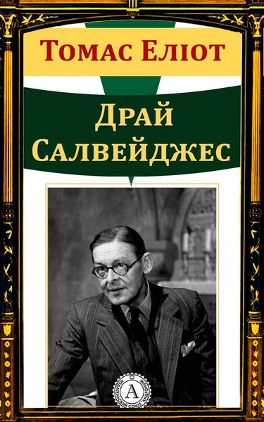 Обложка книги «Драй Салвейджес»