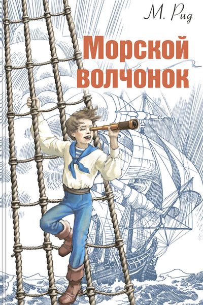 Обложка книги  «Морской волчонок»