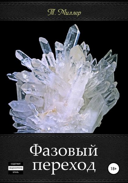 Обложка книги «Фазовый переход»