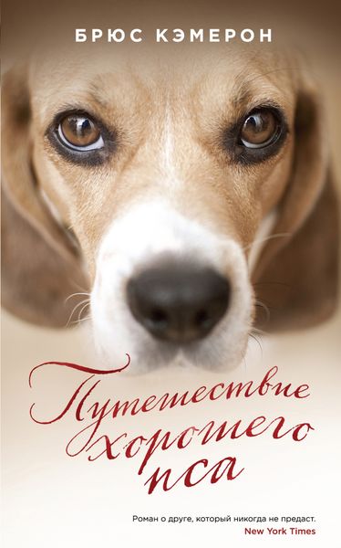 Обложка книги  «Путешествие хорошего пса»