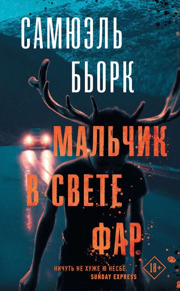 Обложка книги  «Мальчик в свете фар»