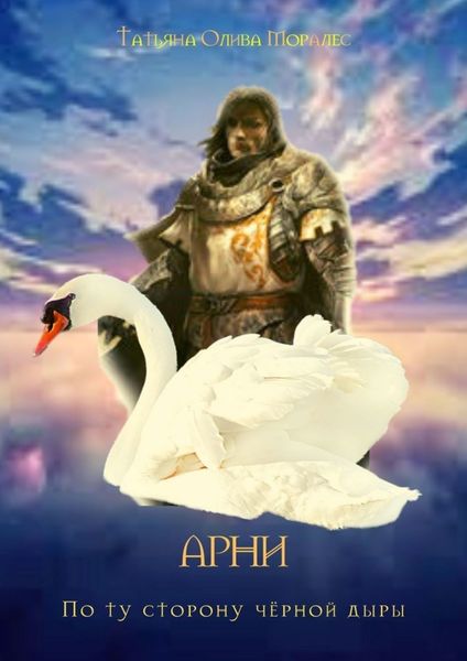 Обложка книги  «АРНИ. По ту сторону чёрной дыры»