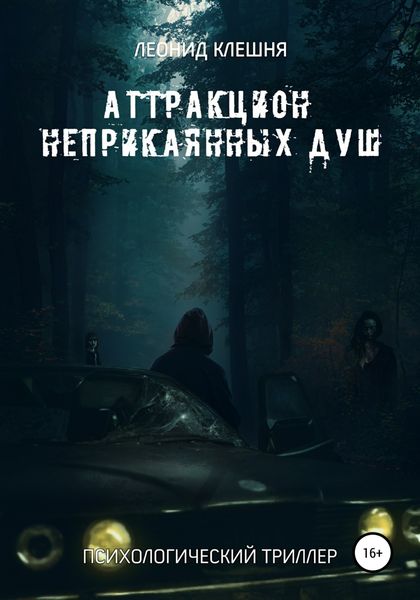 Обложка книги  «Аттракцион неприкаянных душ»