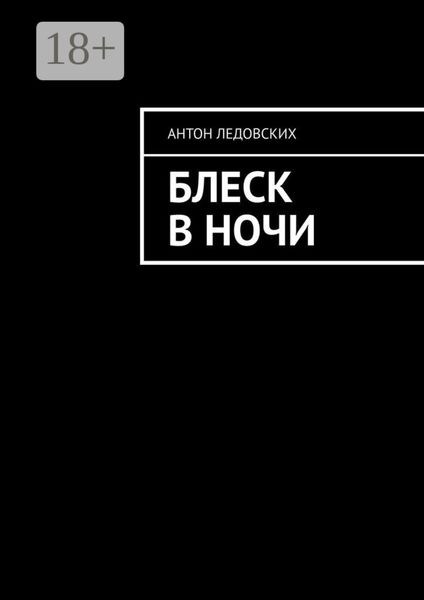 Обложка книги  «Блеск в ночи»