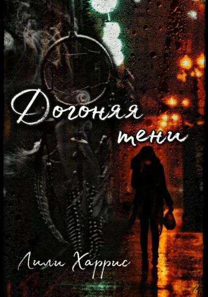 Обложка книги  «Догоняя тени»