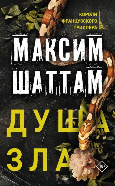 Обложка книги  «Душа зла»