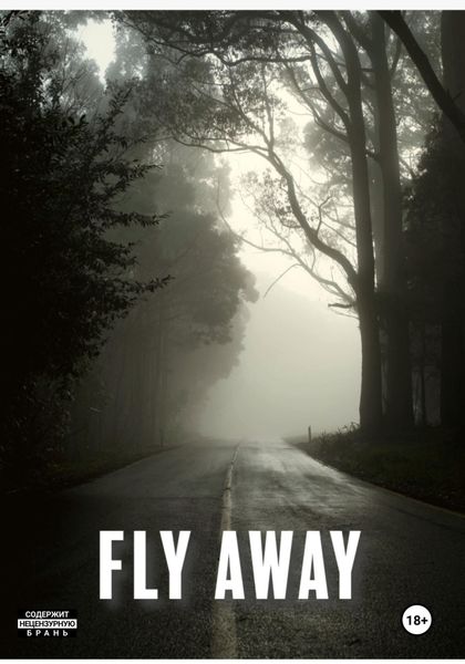 Обложка книги  «Fly Away»