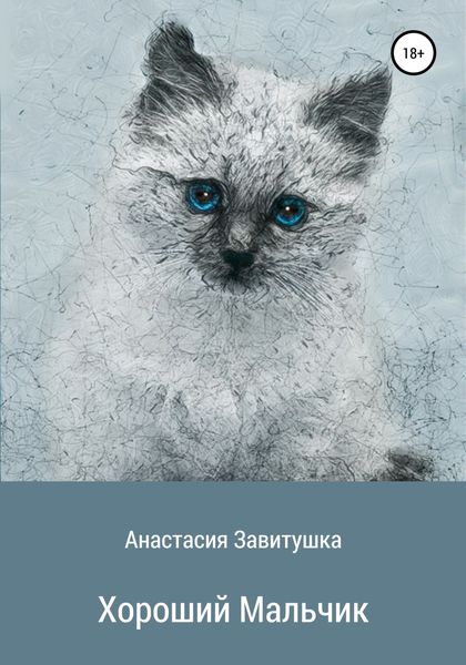 Обложка книги  «Хороший мальчик»