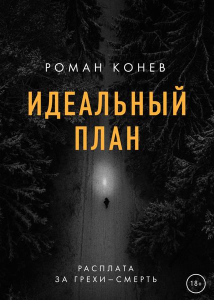 Обложка книги  «Идеальный план»