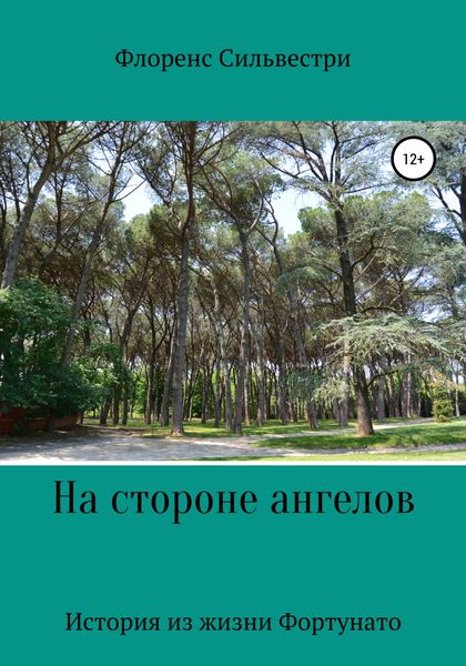 Обложка книги  «На стороне ангелов»