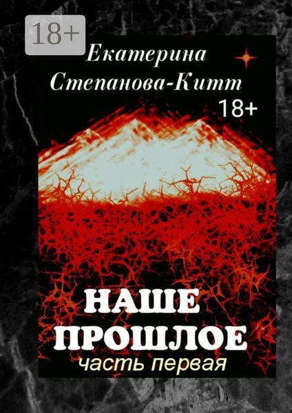 Обложка книги  «Наше прошлое. Часть первая»