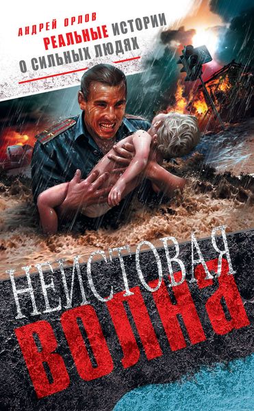 Обложка книги  «Неистовая волна»