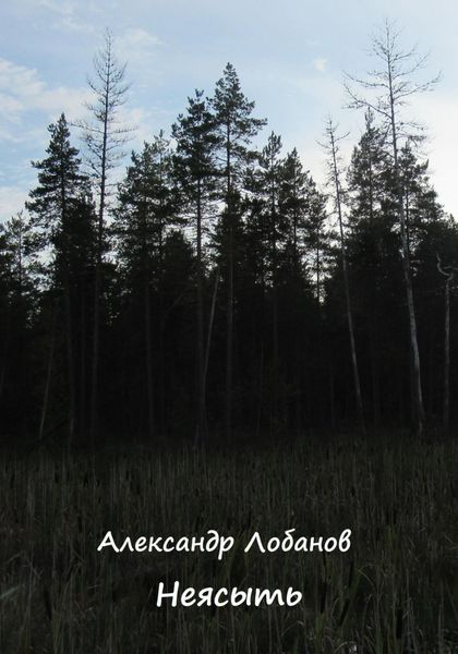 Обложка книги  «Неясыть»