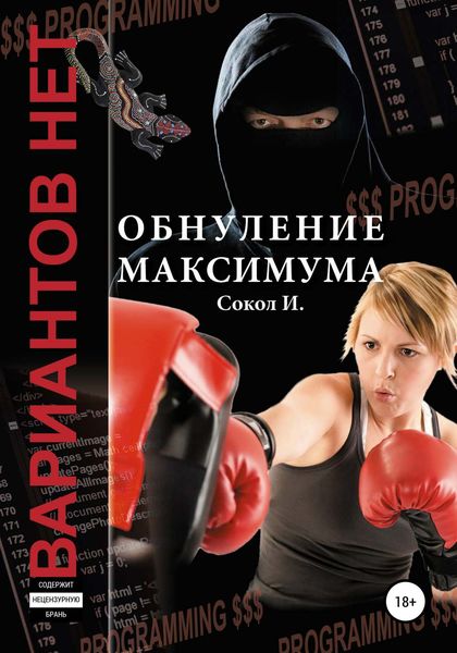 Обложка книги  «Обнуление максимума»