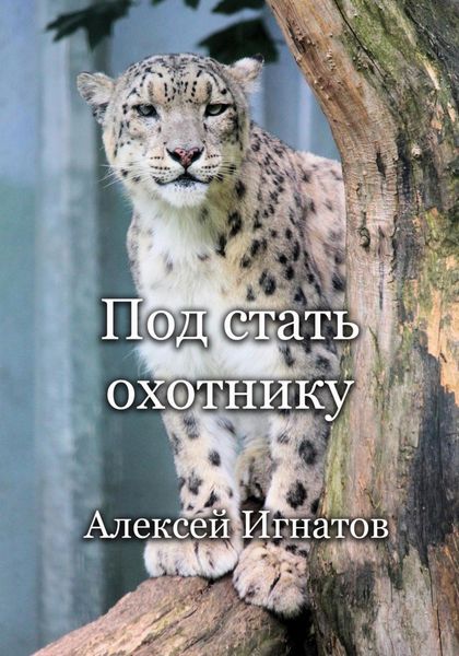 Обложка книги  «Под стать охотнику»