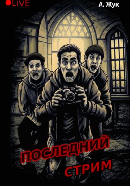 Обложка книги  «Последний стрим»
