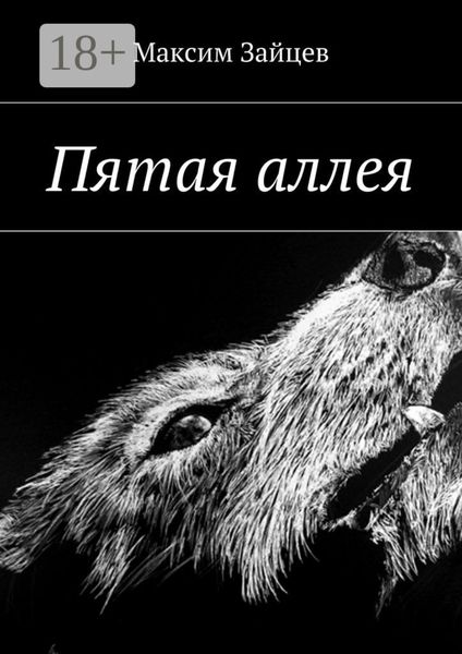 Обложка книги  «Пятая аллея»