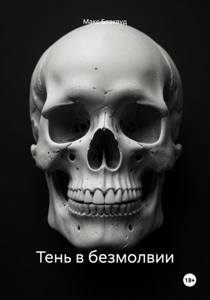 Обложка книги  «Тень в безмолвии»
