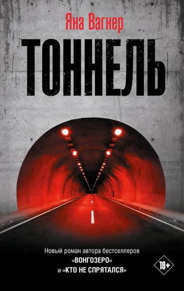 Обложка книги  «Тоннель»