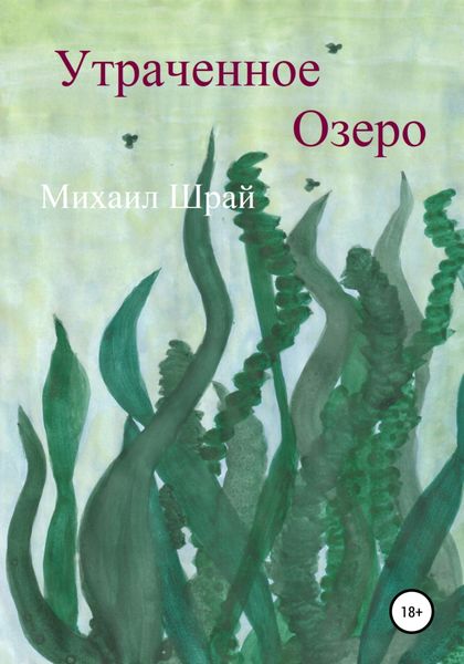 Обложка книги  «Утраченное озеро»