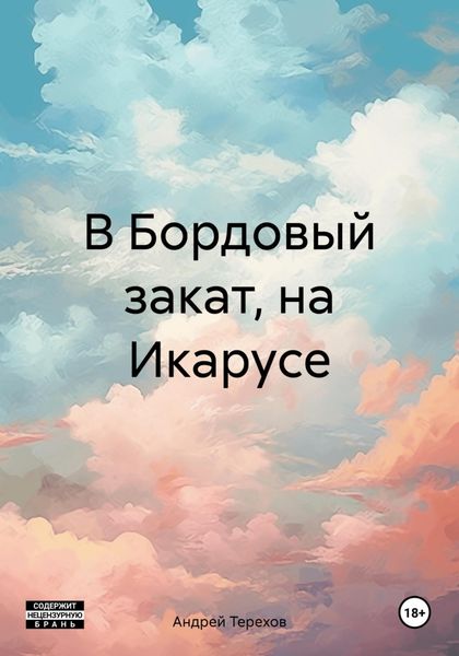 Обложка книги  «В Бордовый закат, на Икарусе»