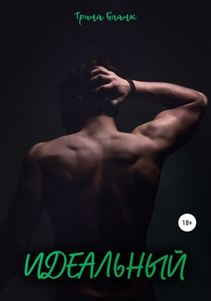 Обложка книги  «Идеальный»
