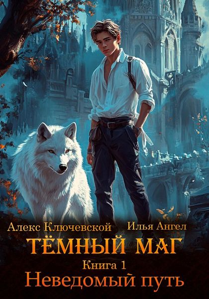 Обложка книги  «Тёмный маг. Книга 1. Неведомый путь»
